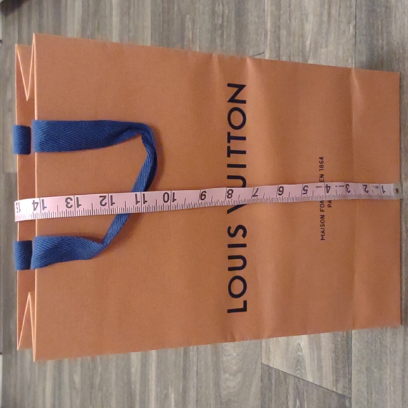 Authentic Louis Vuitton Bag - Picture 8 of 9